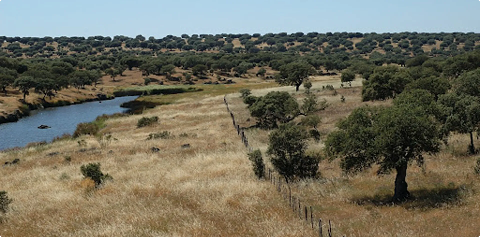 La Aldea del Obispo — entorno de Casa del Aire