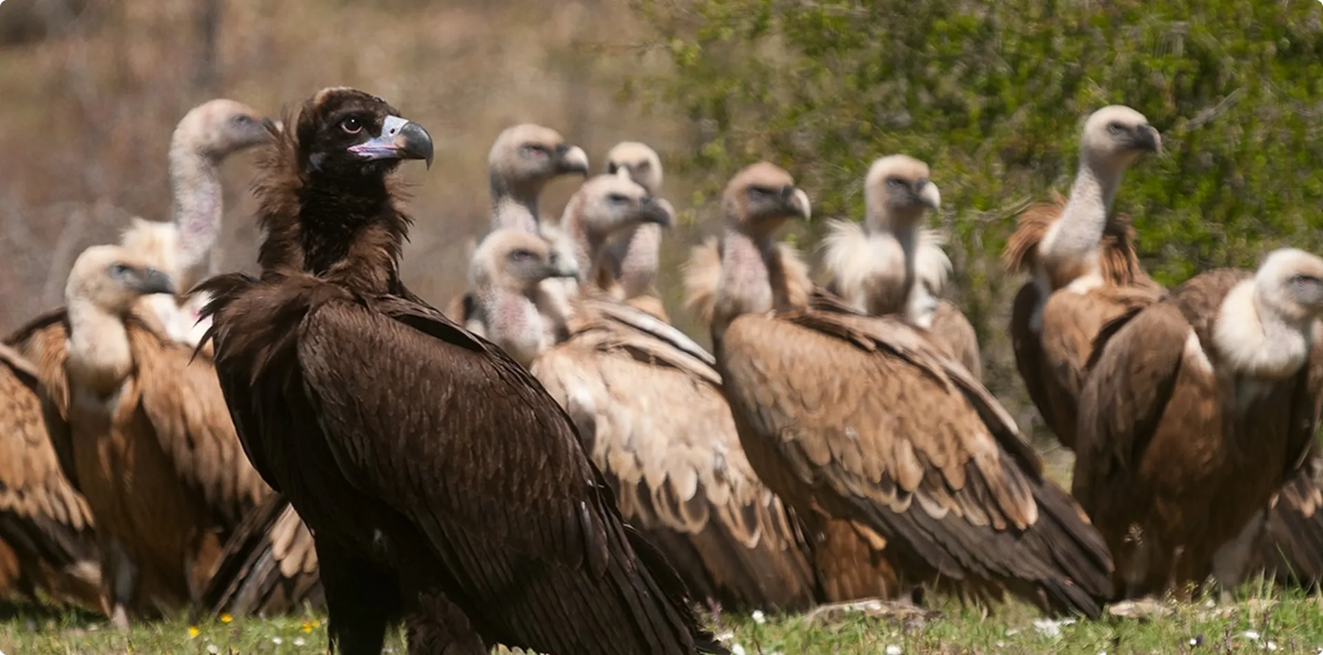 Birding — entorno de Casa del Aire